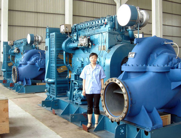 Single stage double suction split casing pumps for circulaiton application